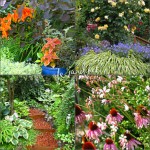 Flowers, foliage or woodland  paths - it's all possible