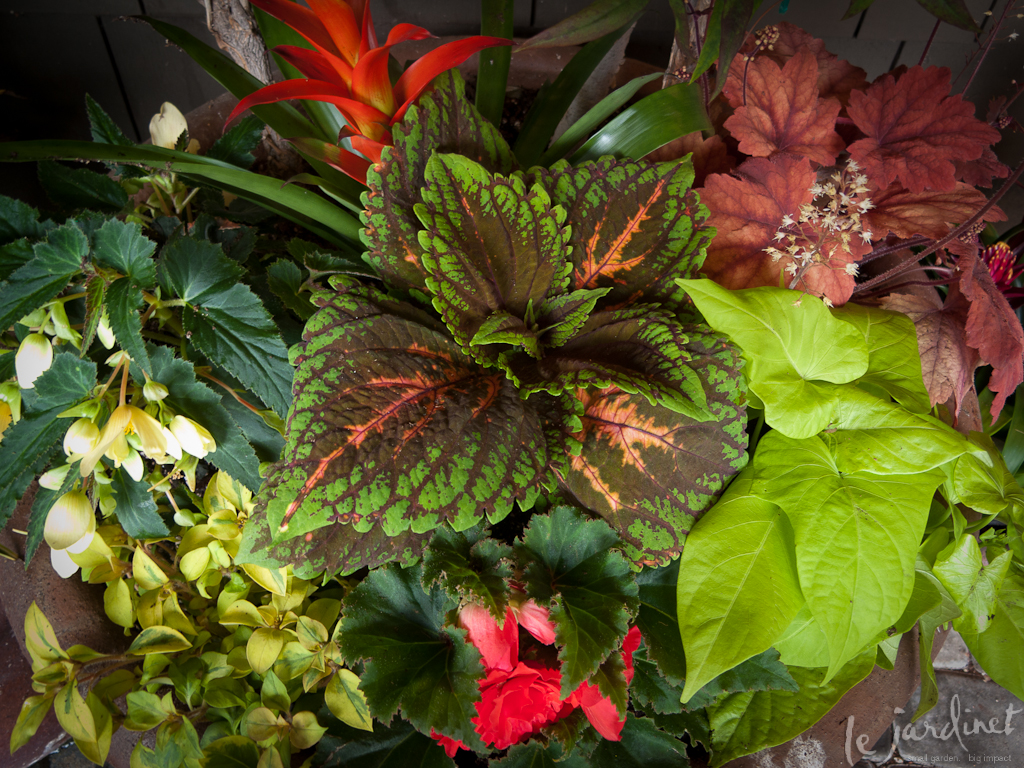 Get creative and make the most of brightly colored foliage