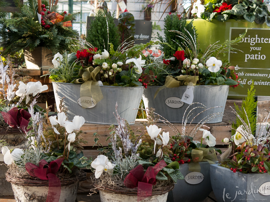 A gorgeous display of seasonal outdoor containers at Sky Nursery, Shoreline, WA