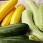 squash-zucchini-tricolor-01