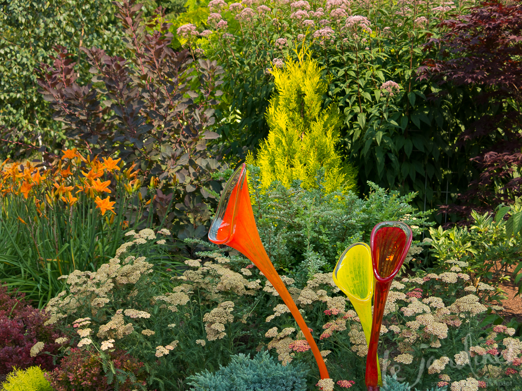 Perfect color echoes between the glass and orange daylilies, golden conifer and dark leaf maple tree