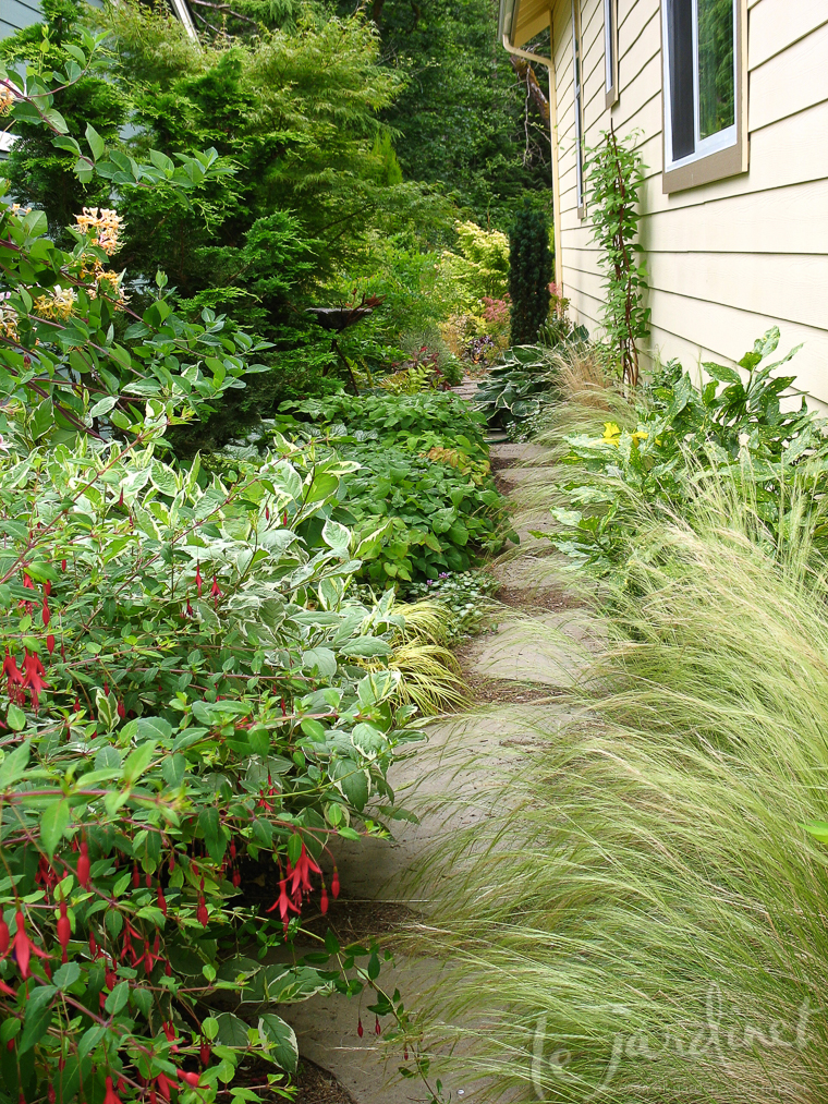 Mexican feather grass lines one side of a narrow path. Design by Joanne and Lucien Guthrie