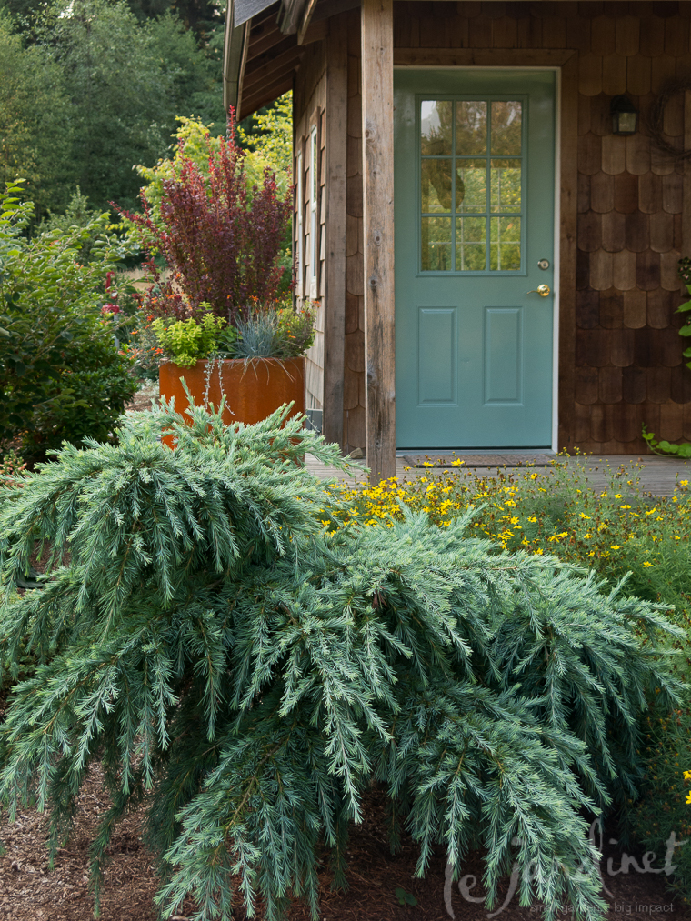 Design is all about the details; this paint color was selected to echo the color of the conifer foliage