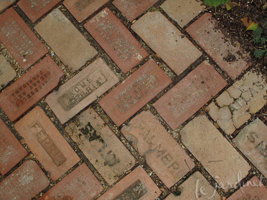 A brick pathway to read while you walk