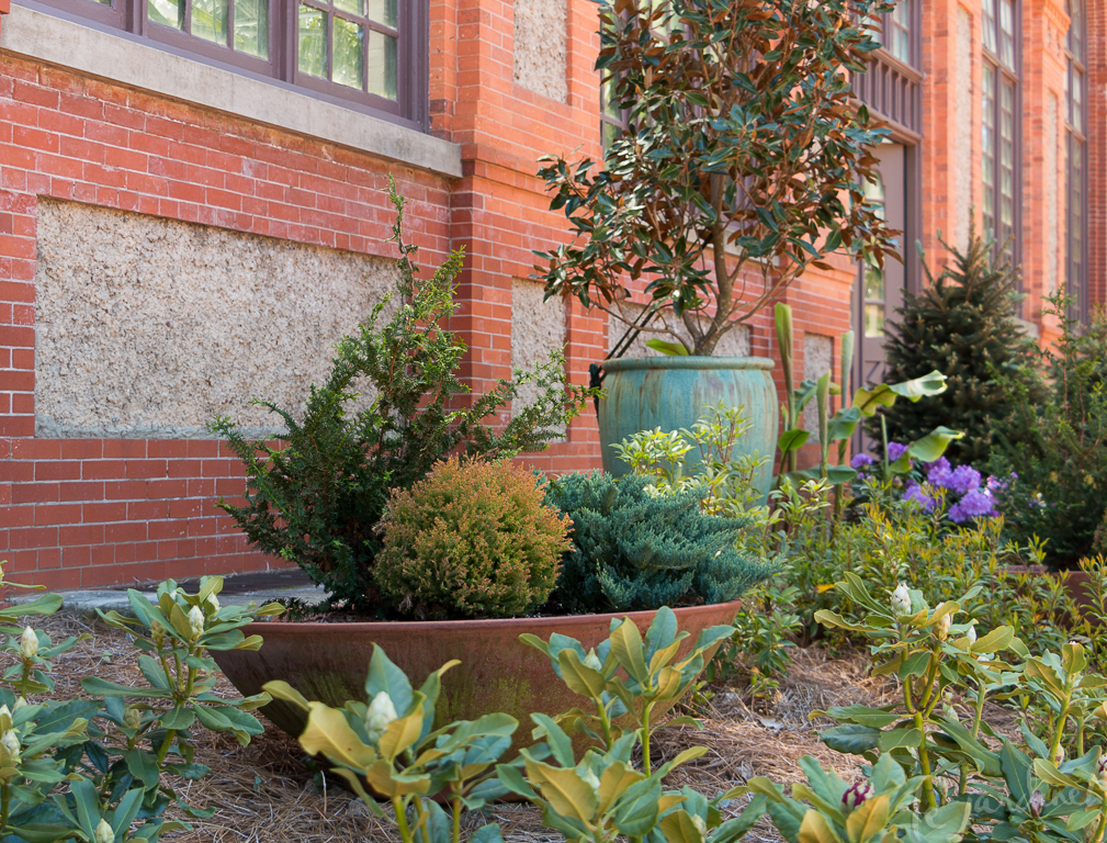 Remarkable color echos between bricks, planters and foliage