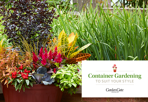 container gardening cover